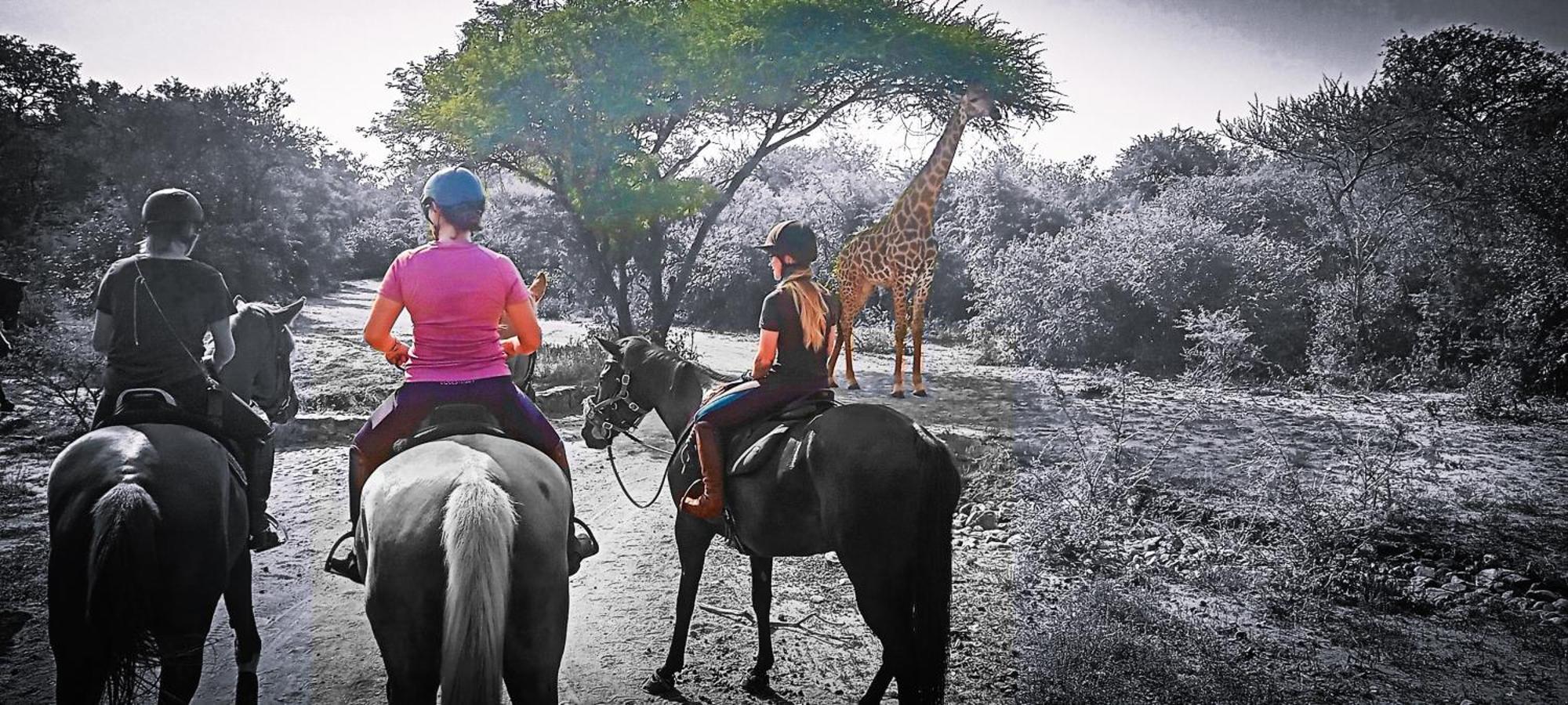Call Of The Wild Lodge Hoedspruit Kültér fotó